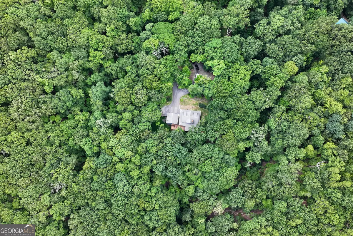 873 Laurel Ridge Road, Cleveland, GA 30528 - #1