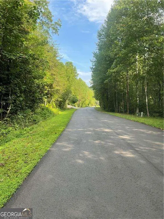 0 Gold View Drive, Dahlonega, GA 30533 - Image #3