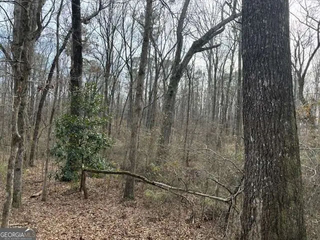 2994 Mt Zion Road #3, Carrollton, GA 30117 - Image #1