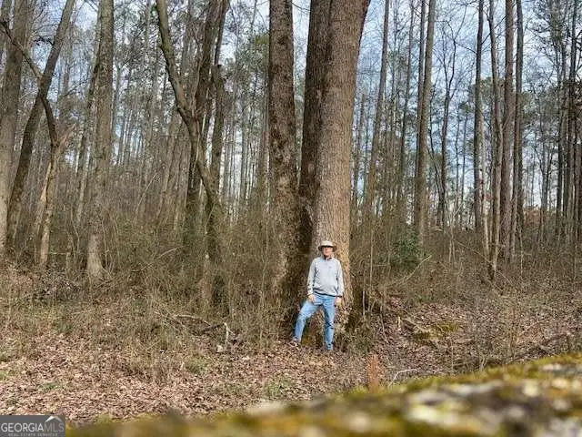 2994 Mt Zion Road #3, Carrollton, GA 30117 - Image #3