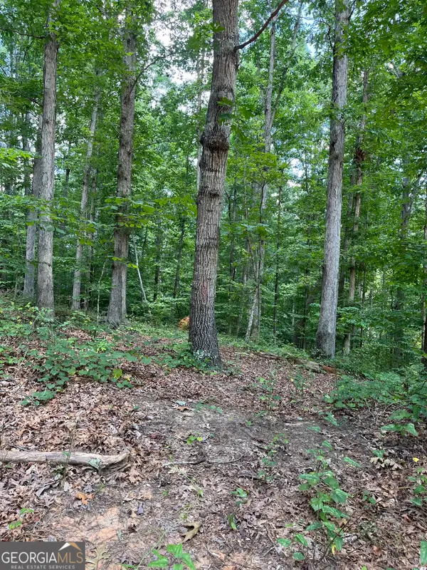 2710 Glendale Drive Ne, Conyers, GA 30013