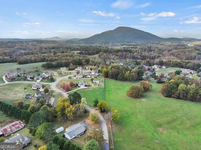 239 Brown Drive, Clermont, GA 30527 - Image #2