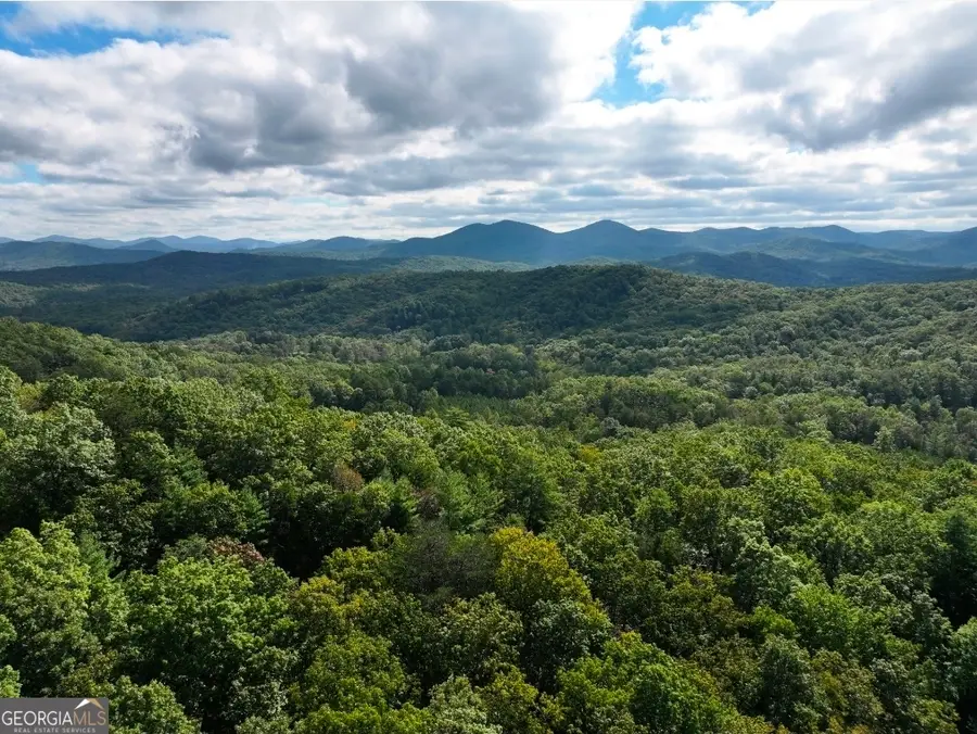 LOT 10 Papa Bear Path, Cherry Log, GA 30522 - Image #2