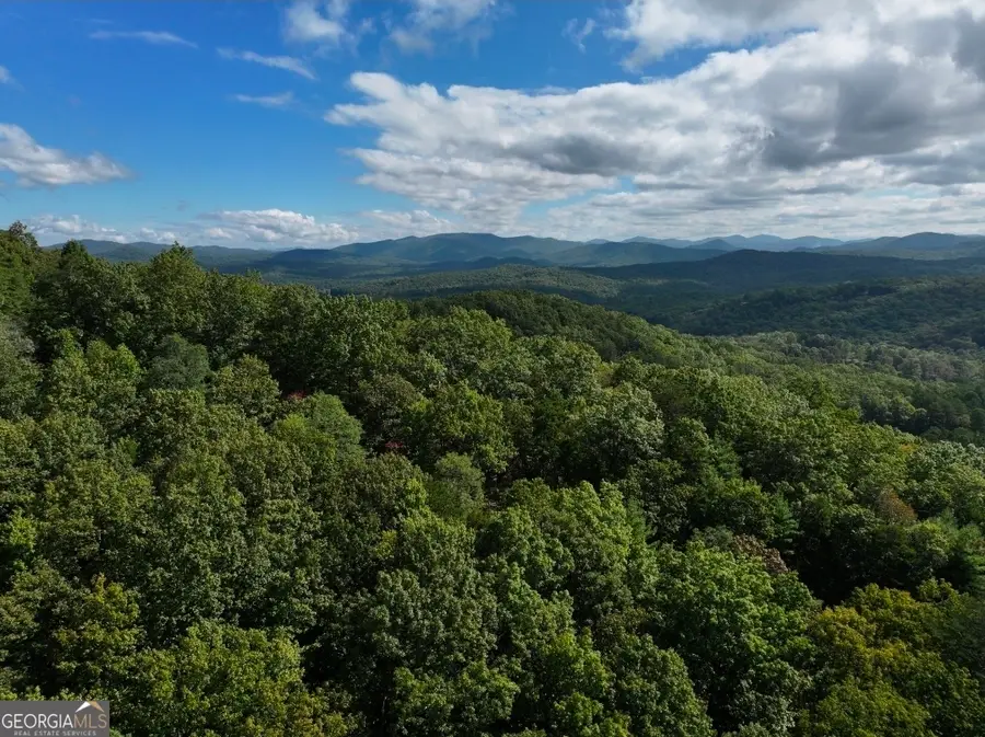 LOT 10 Papa Bear Path, Cherry Log, GA 30522 - Image #3