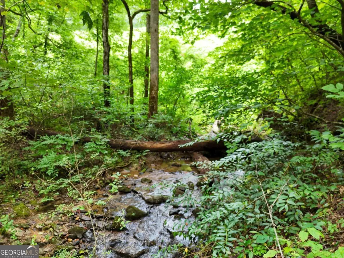 0 Highway 76 East, Clayton, GA 30525 - Image #1