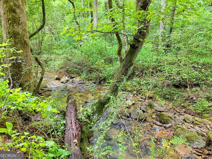 0 Highway 76 East, Clayton, GA 30525 - Image #2