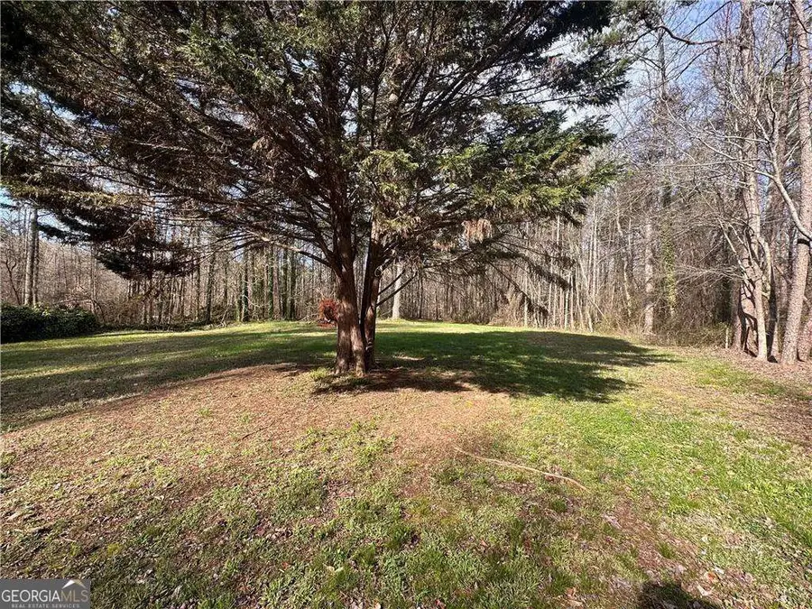 6785 Anderson Lake Road, Dawsonville, GA 30534 - Image #2