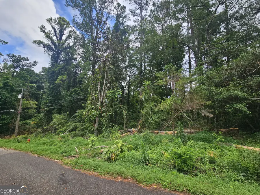 4676 Pine Drive Se, Acworth, GA 30102 - Image #2