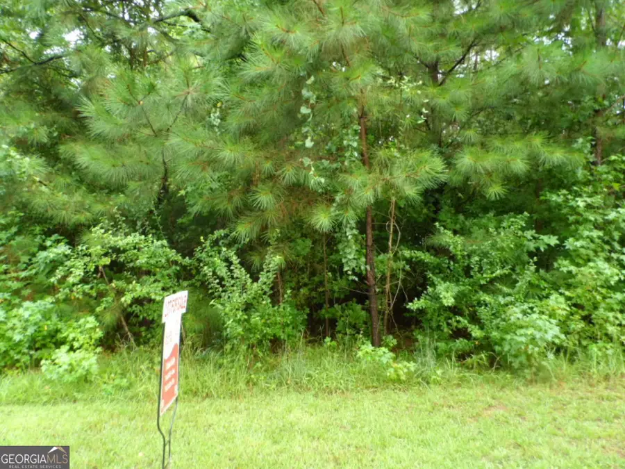 871 Kelly Farm Road, Newnan, GA 30265 - #2