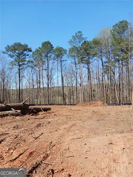 3737 Highway 20 E, McDonough, GA 30252 - Image #3