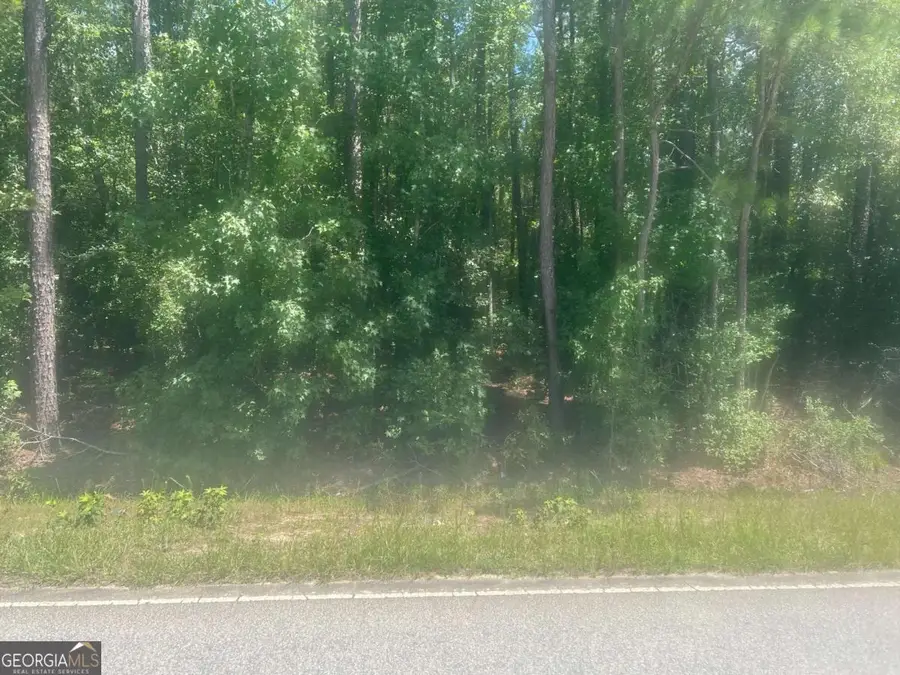 0 Adams Chapel Road Se, Dearing, GA 30808 - Image #3