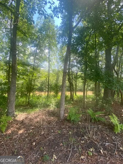 1764 Flatbottom, Ball Ground, GA 30107 - Image #1