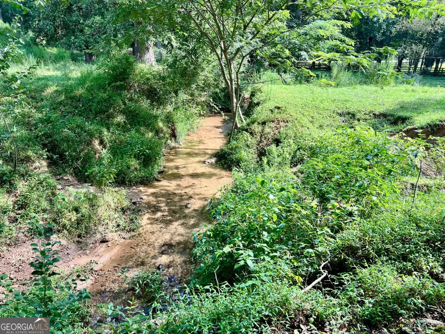 6223 Hulsey Road, Clermont, GA 30527 - Image #3