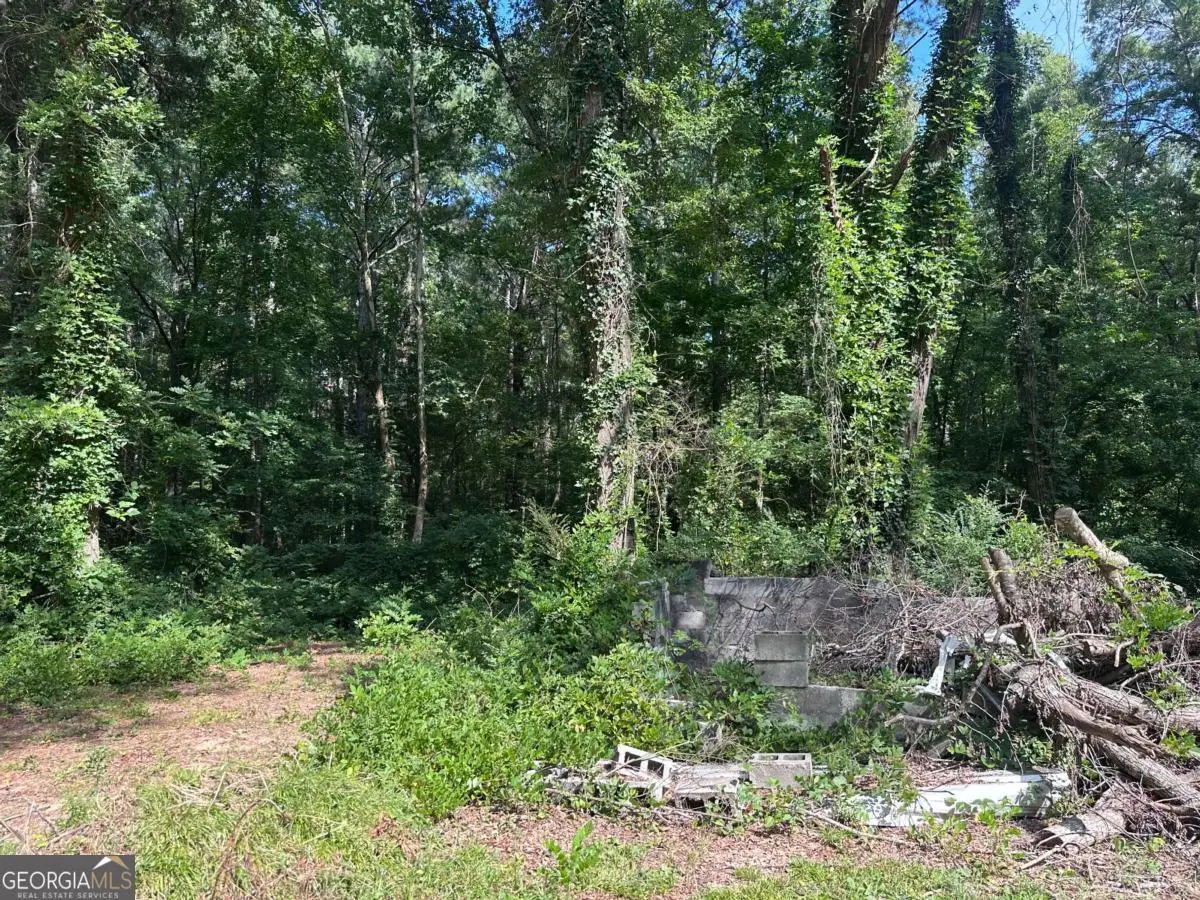 966 Judkin Mill Road, Cedartown, GA 30125 - Image #1