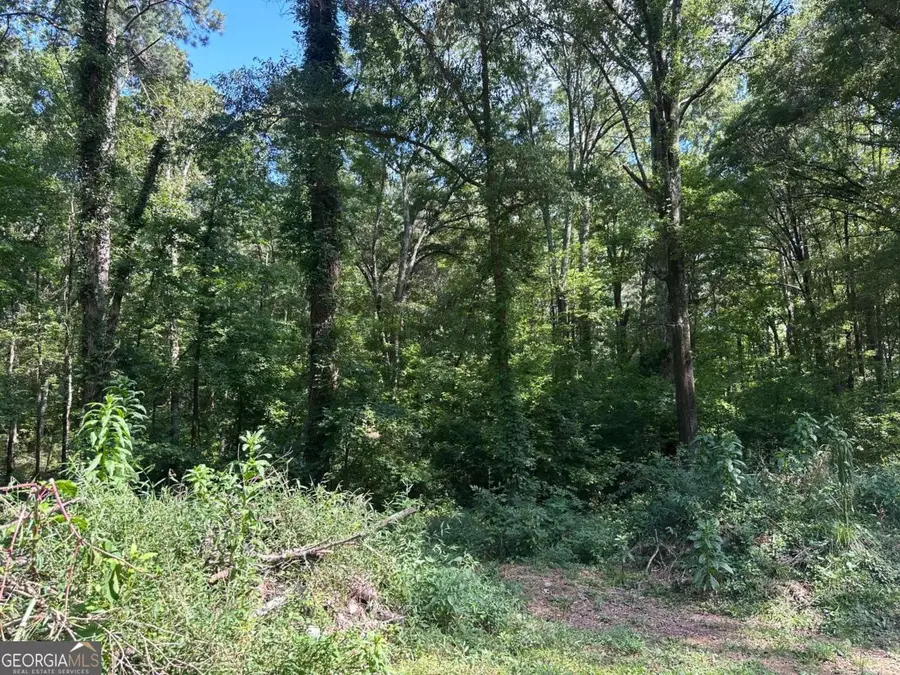 966 Judkin Mill Road, Cedartown, GA 30125 - Image #2