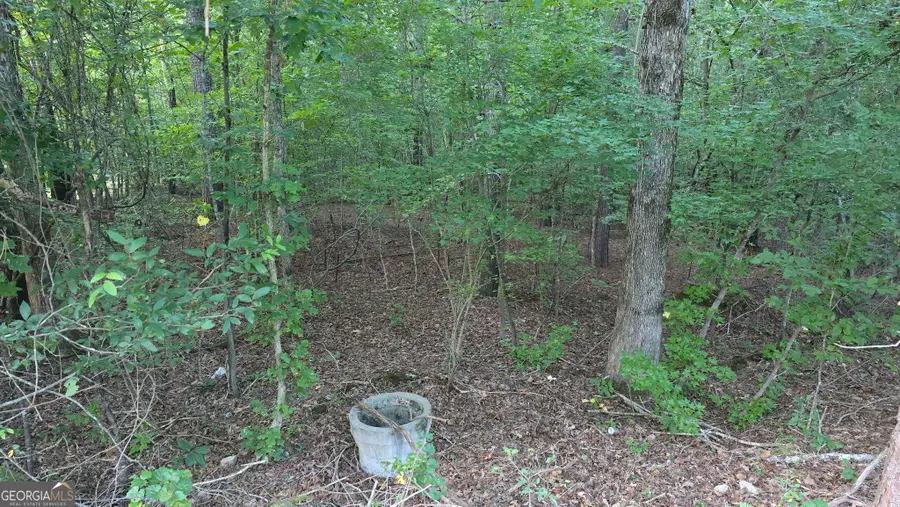 1628 Norris Landing Drive, Snellville, GA 30039 - Image #3