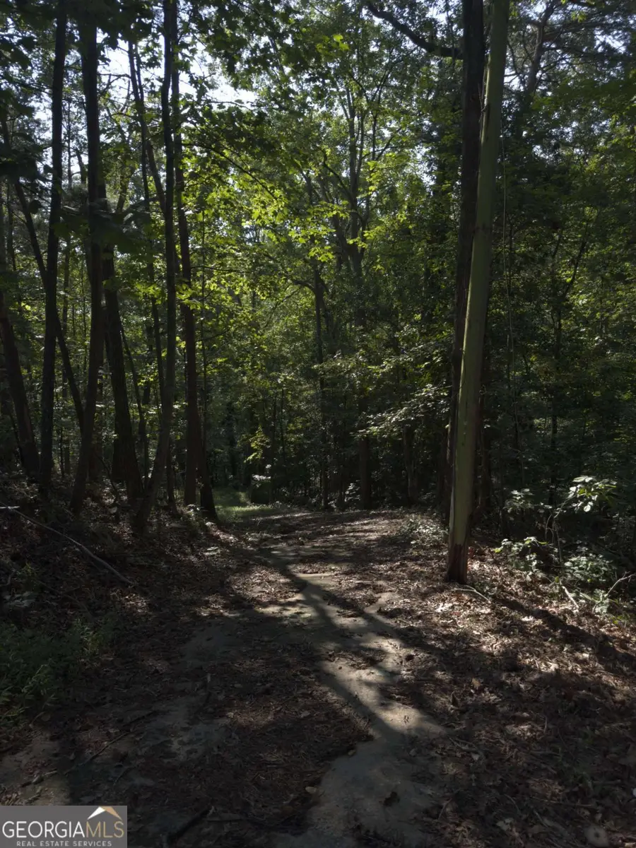 3746 Leach Road, Gainesville, GA 30506 - Image #3