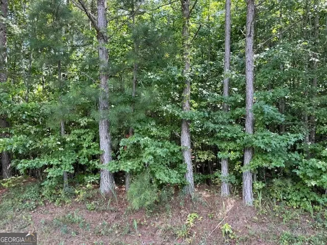 TK 9 Old Ridgeway Road, Bremen, GA 30110 - Image #1