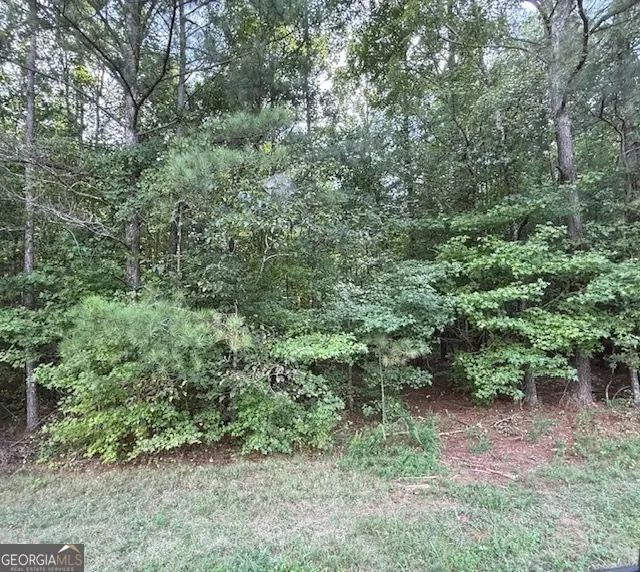 TK 9 Old Ridgeway Road, Bremen, GA 30110 - Image #3