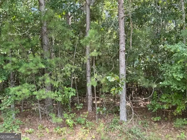 TK 8 Old Ridgeway Road, Bremen, GA 30110 - Image #3