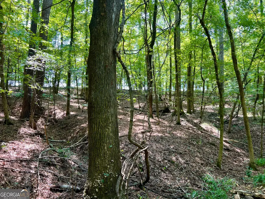 #3