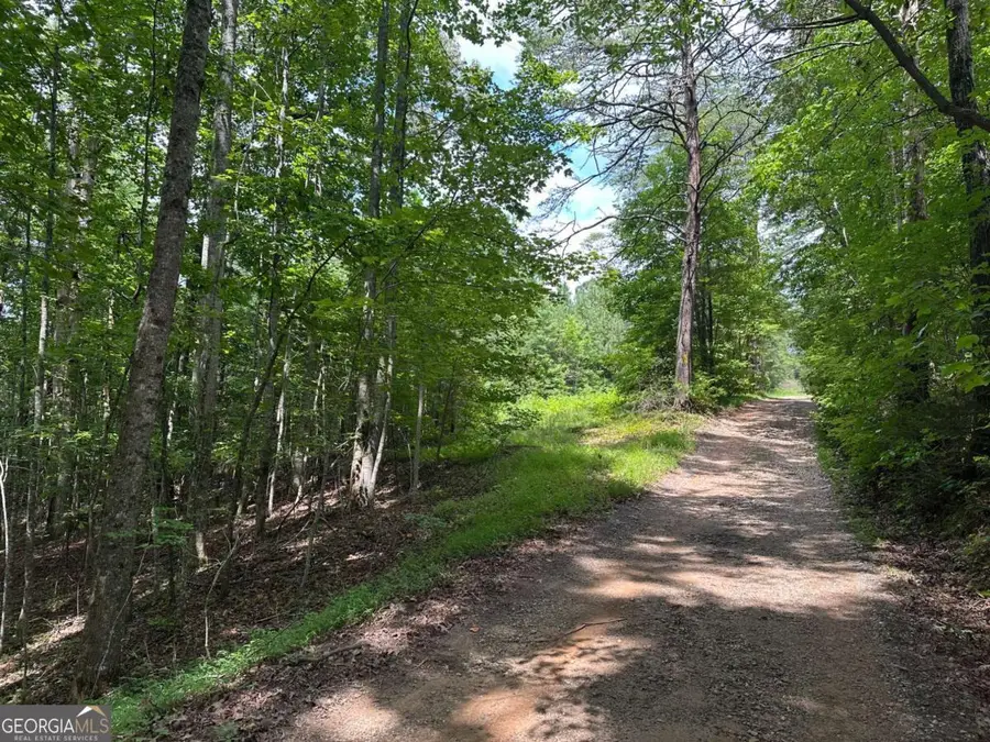 7-/+ Charlie Lemley Road, Dawsonville, GA 30534 - Image #2