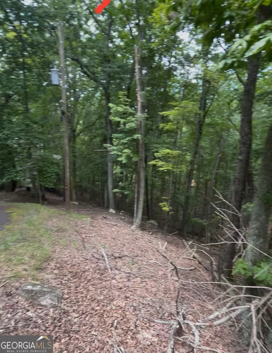 110 Siddiqui Court, Waleska, GA 30183 - Image #2