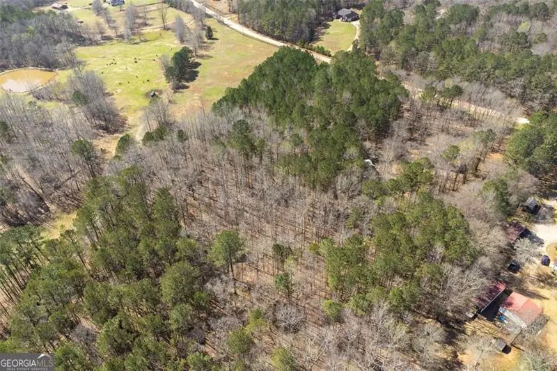 1496 Trestle Road, Locust Grove, GA 30248 - Image #3