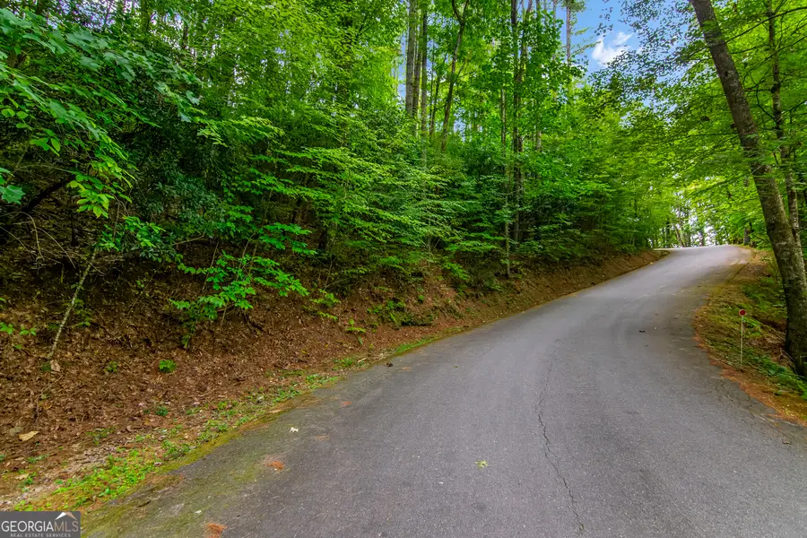 LOT 9 Laurel Creek Trail, Ellijay, GA 30536 - Image #2