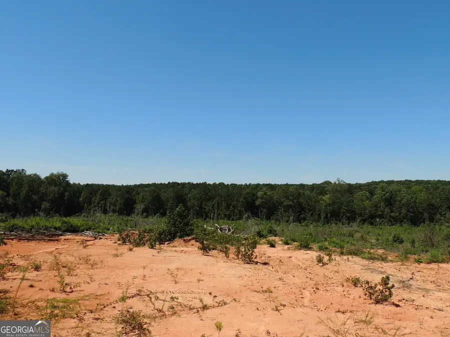 14.8 +/- AC Bethel Road W, Franklin, GA 30217 - Image #2