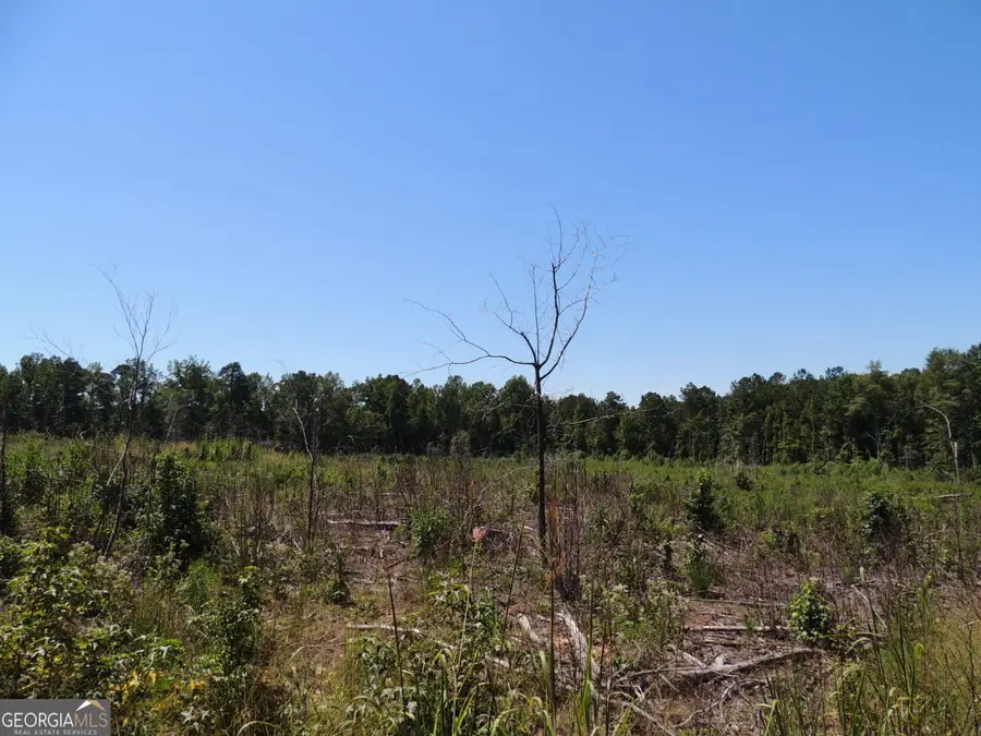 18 +/- AC Bethel Road W, Franklin, GA 30217 - Image #3