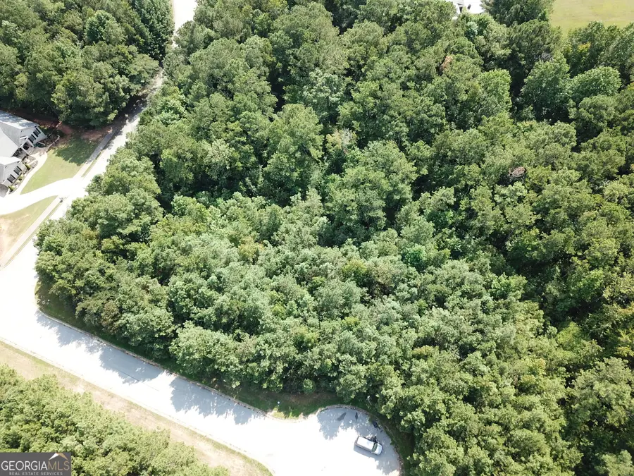 7718 Cheviot Drive, Winston, GA 30187 - Image #3