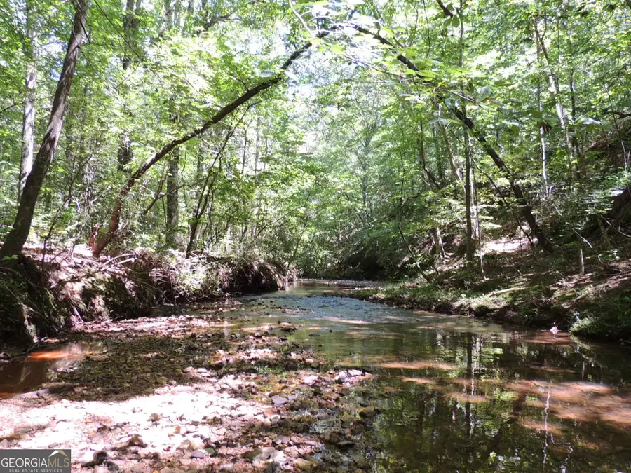 24.5+/- AC Awbreys Gin Road, Franklin, GA 30217 - Image #2