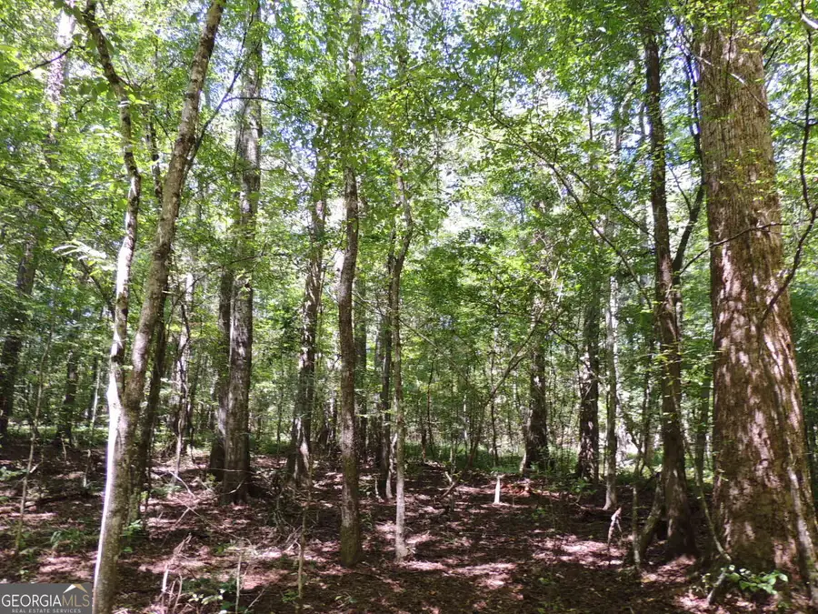 24.5+/- AC Awbreys Gin Road, Franklin, GA 30217 - Image #3