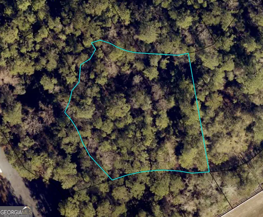 0 Canoe Run, Woodbine, GA 31569 - Image #2