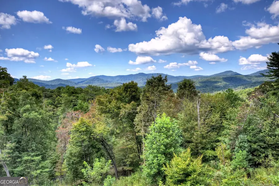 6 Pontoosuc Drive, Mineral Bluff, GA 30559 - #3