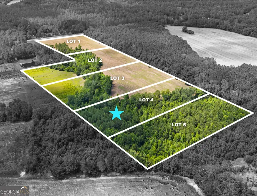 0 Fabled Lane #LOT 4, Pembroke, GA 31321 - Image #2