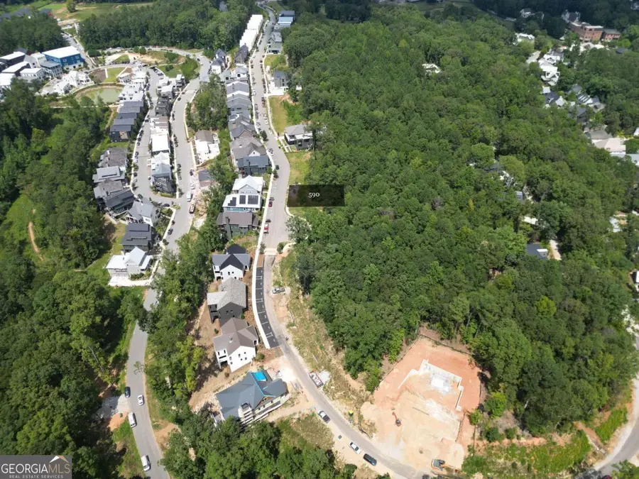 1101 Lupo Loop, Chattahoochee Hills, GA 30268 - Image #3