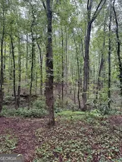 #2
