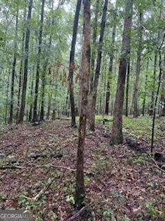 #3