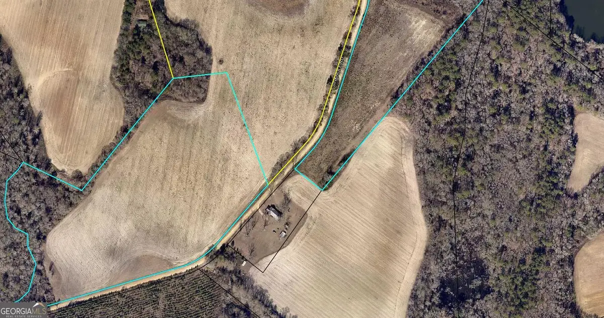 0 Sink Hole Road, Register, GA 30452 - Image #1