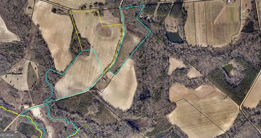 0 Sink Hole Road, Register, GA 30452 - Image #2