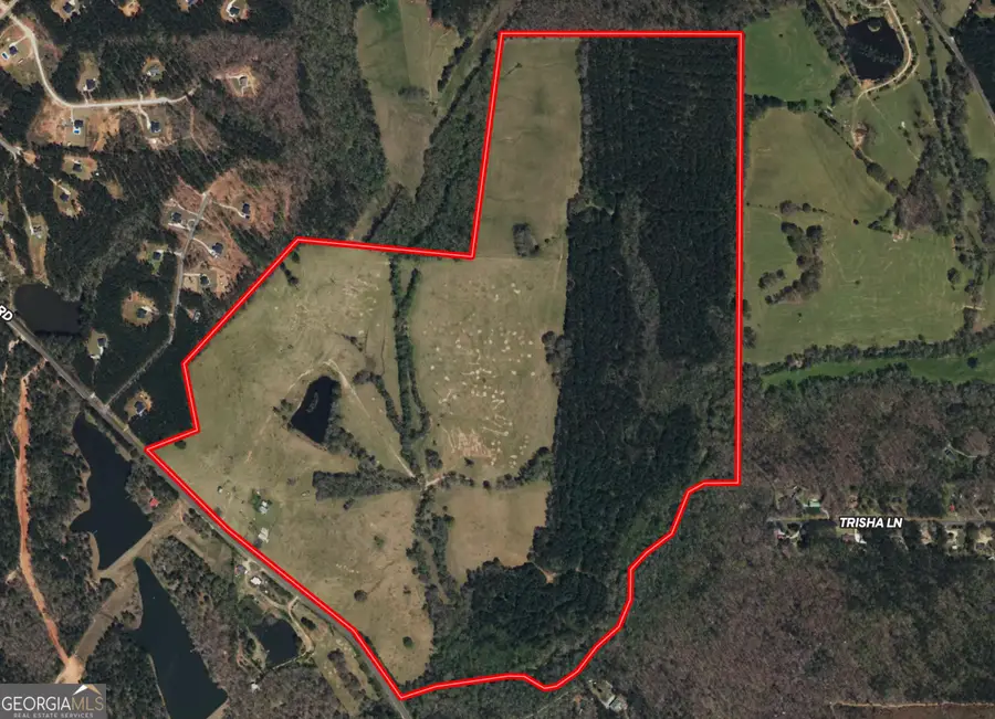 260.66 AC Bohannon Road, Grantville, GA 30220 - Image #2