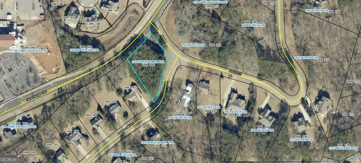 310 Burgess Mill Trail, Suwanee, GA 30024 - #1