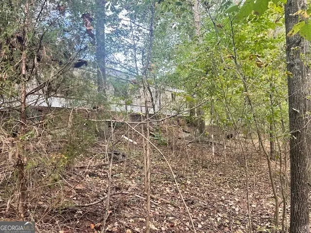 1344 Jim Grizzle Road, Royston, GA 30662 - Image #3