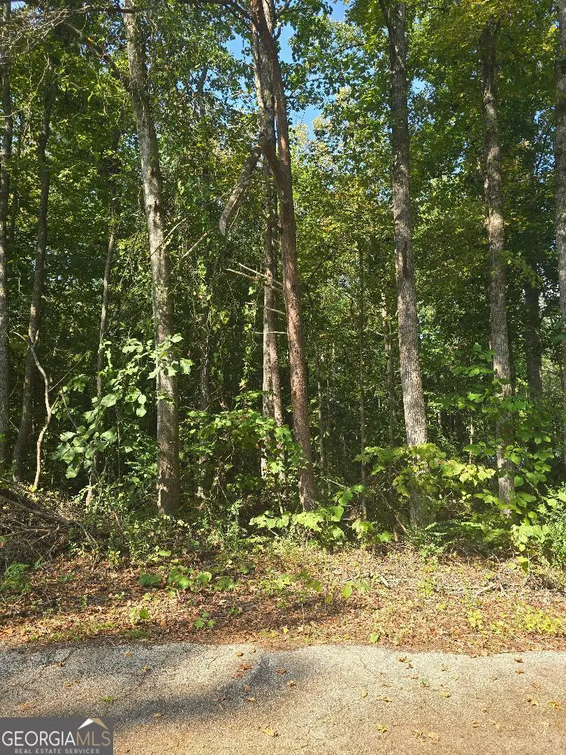 130 Lakeview Way, Martin, GA 30557 - Image #1