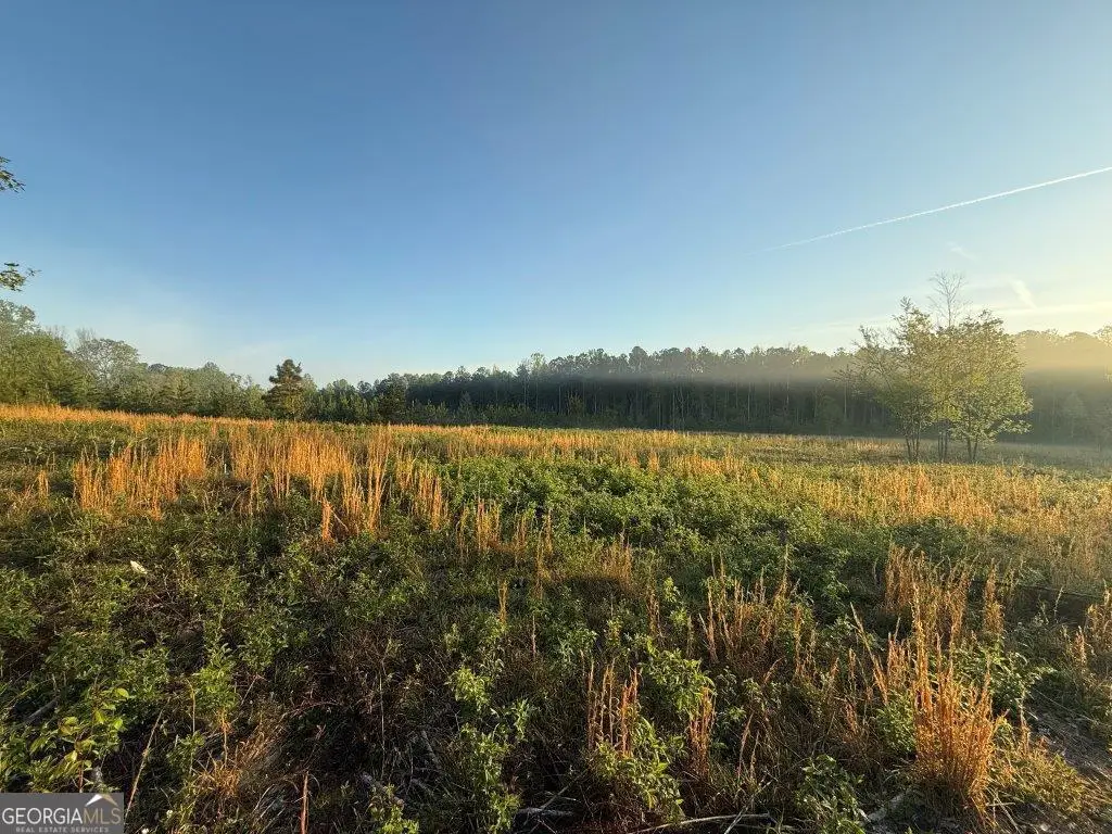 0 Spiva Road, Temple, GA 30179 - Image #1