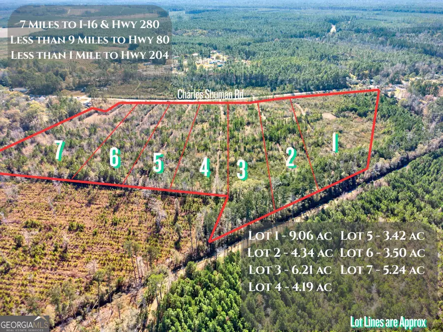 LOT 1 Charles Shuman Road, Pembroke, GA 31321 - Image #3