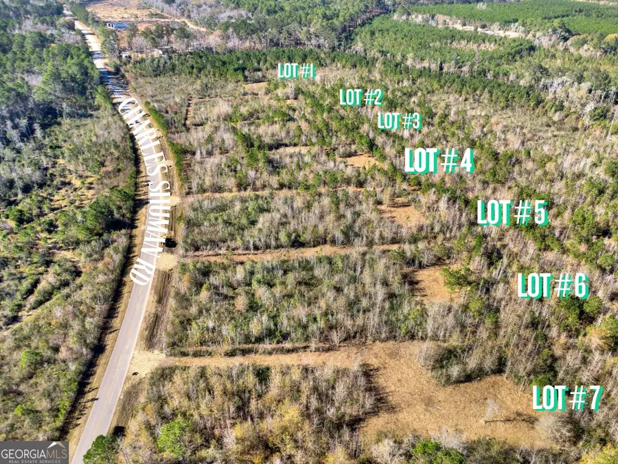 LOT 4 Charles Shuman Road, Pembroke, GA 31321 - Image #3