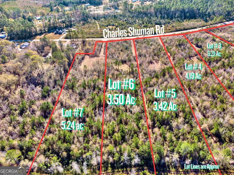 LOT 6 Charles Shuman Road, Pembroke, GA 31321 - Image #3